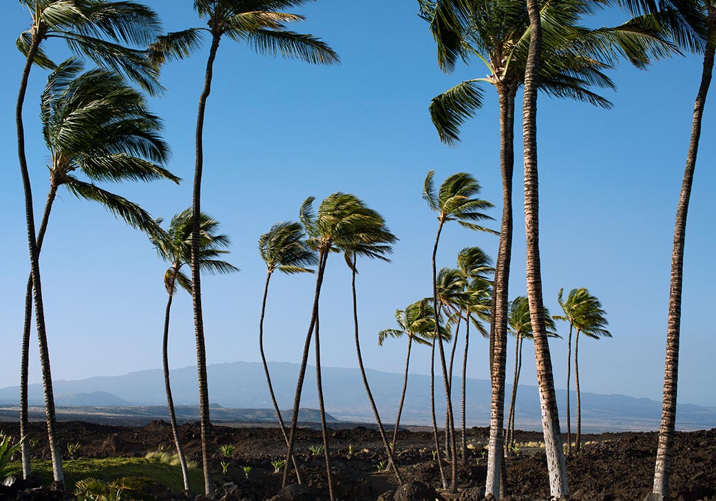 Emily Nathan Tiny Atlas Quarterly Kona Hawaii