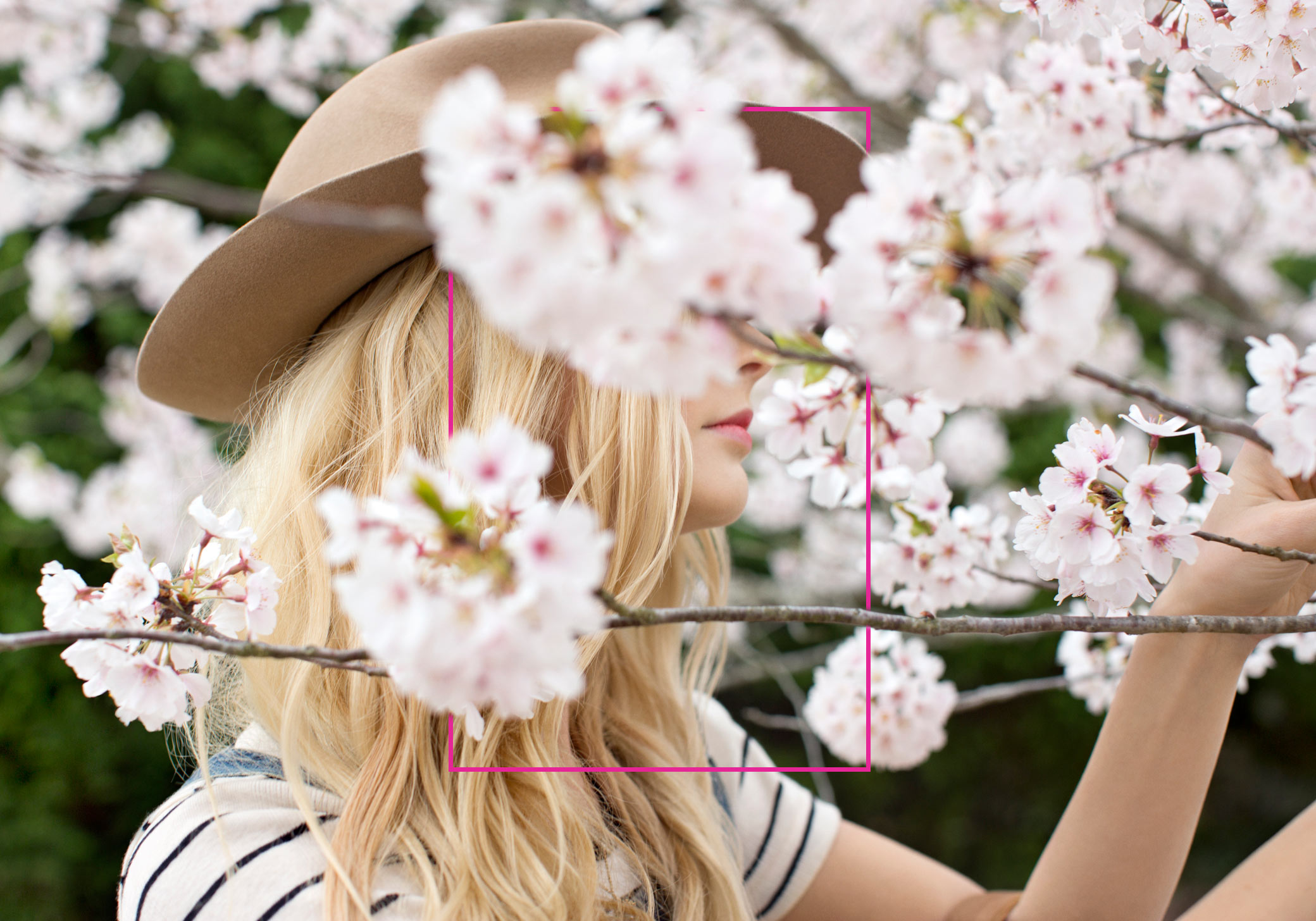 emily nathan tiny atlas south carolina 07 pretty girl cherry blossoms