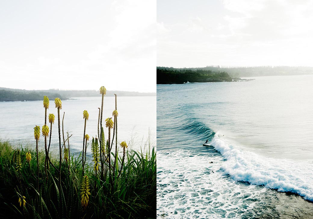 Tiny Atlas Quarterly, Ashley Camper, Maui, Hawaii